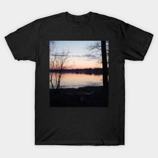 Lake mirror T-Shirt by Boog-night